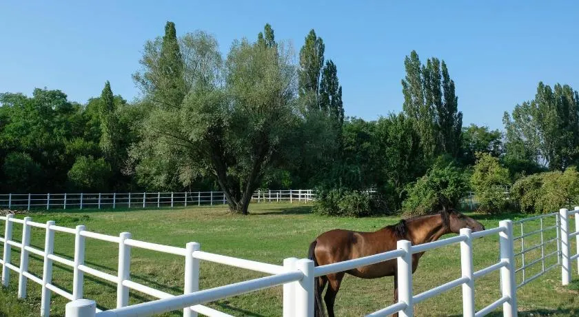 Equiliber Reitsportzentrum Burgenland - Image 1