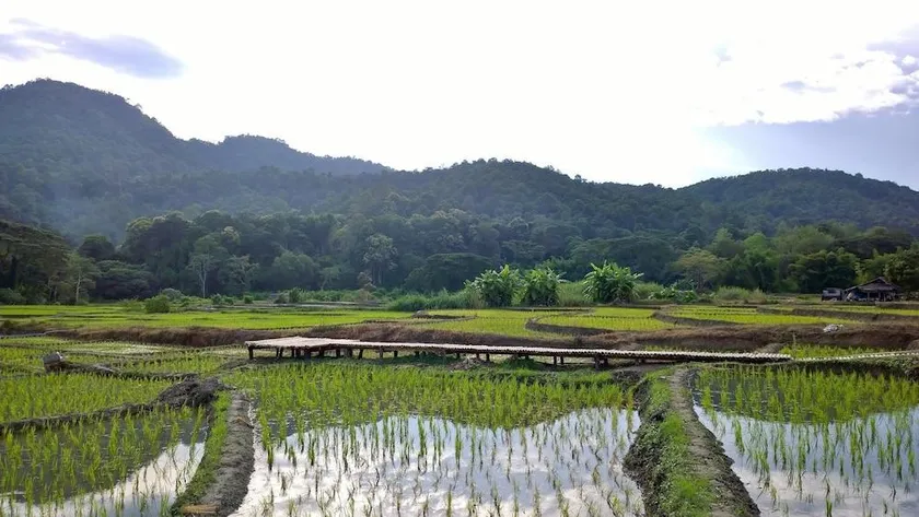 Bulunburi Resort - Image 1