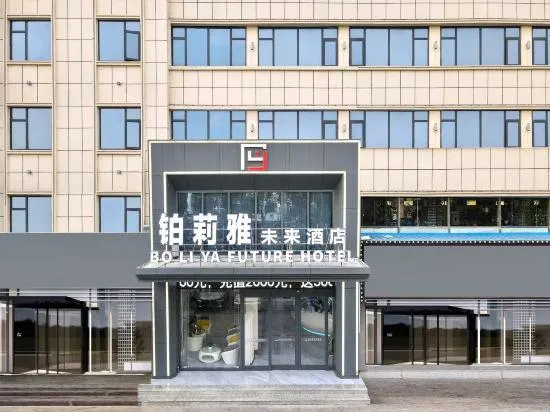 Boliya Future Hotel - Image 1