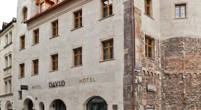 Hotel David an der Donau - Image 1