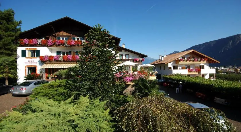 Hotel & Residenz Traubenheim - Image 1