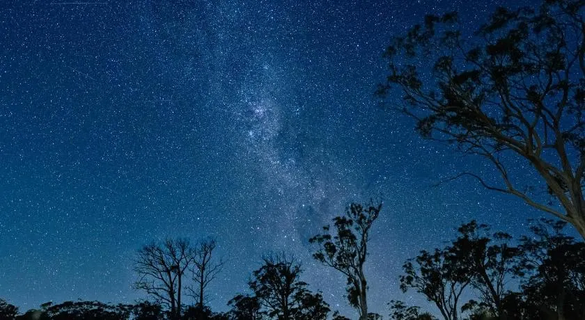 Scribbly Farm, Boutique Southern Highlands Accommodation - Image 1