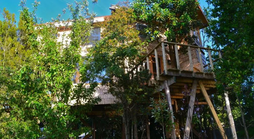 La Casa Del Árbol De Chiloé - Image 1