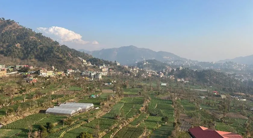 Slow living, Solan - Image 1