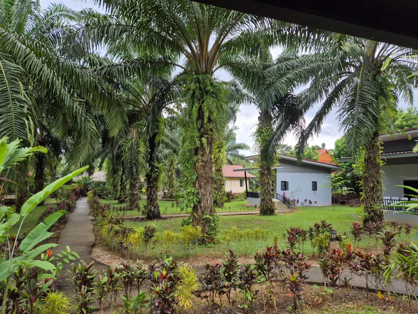 Khao Sok Palm Garden Resort - Image 1