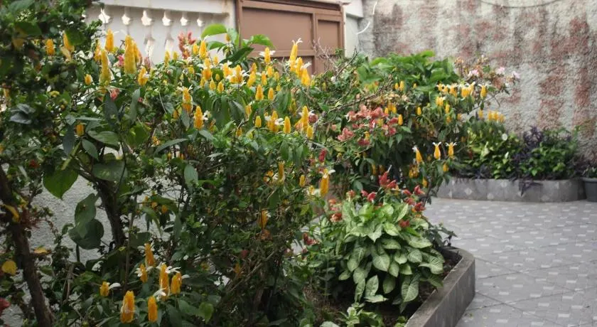 Casa da mãe - Image 1