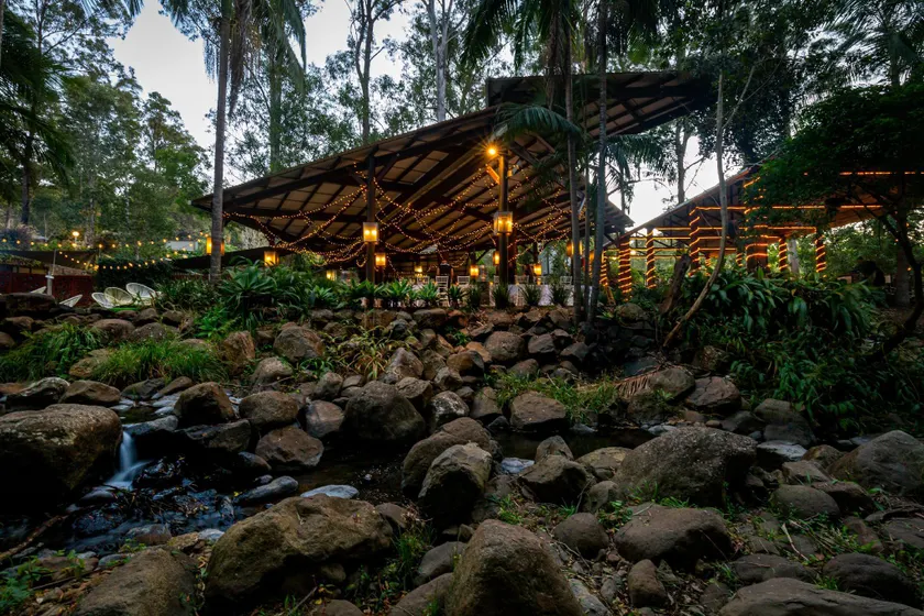Tamborine Mountain Glades - Image 1