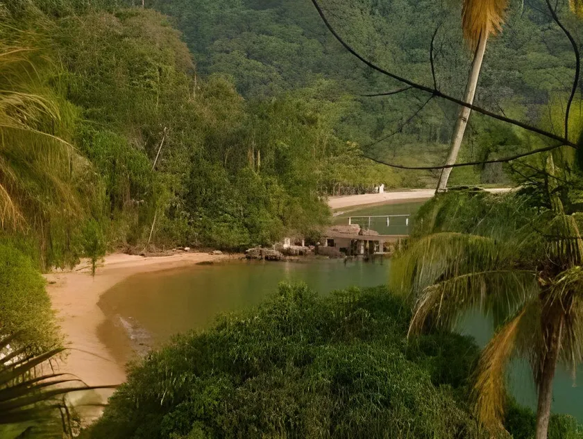 Atlantica Jungle Lodge - Image 1