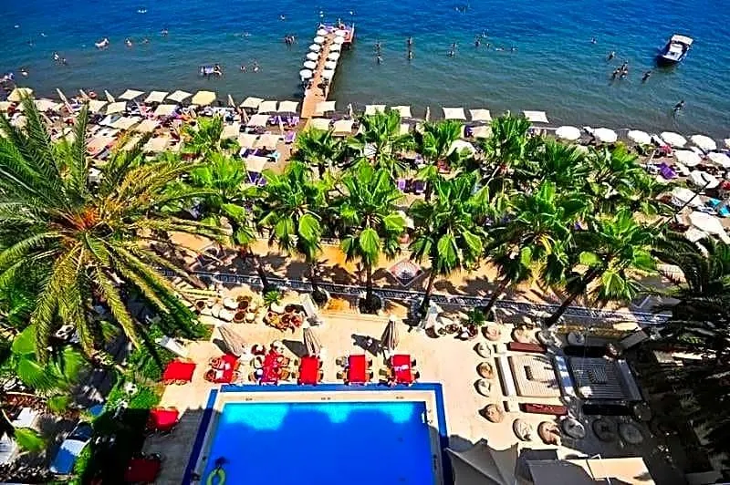 Palm Beach - Image 1