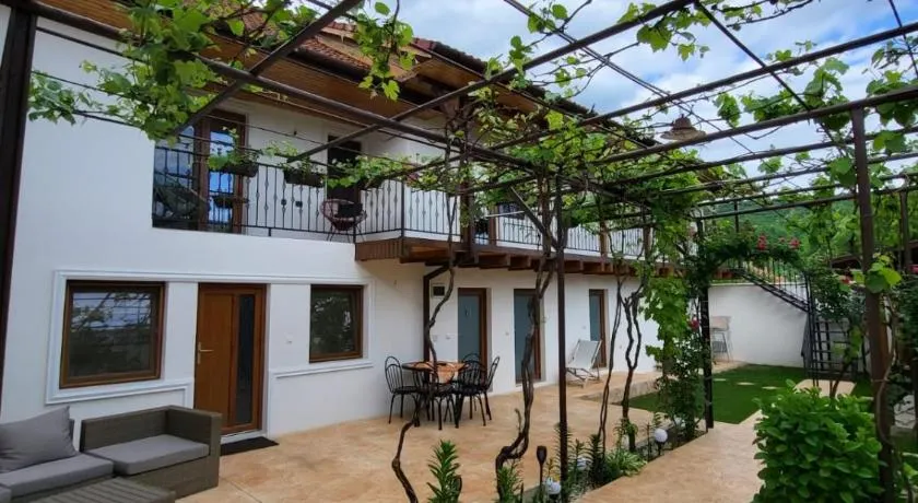 CASA DIN SAT - Image 1