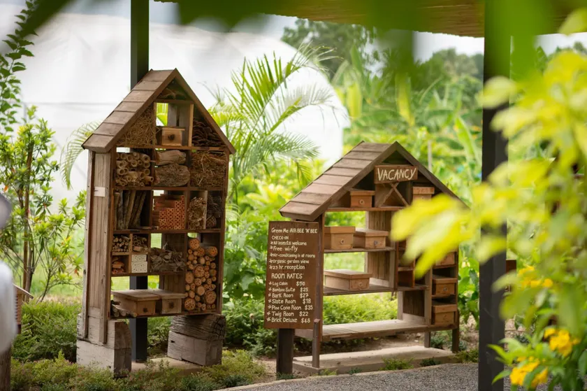 Green Me Organic Farm Khao Yai กรีนมี ออแกนิคฟาร์ม เขาใหญ่ - Image 1