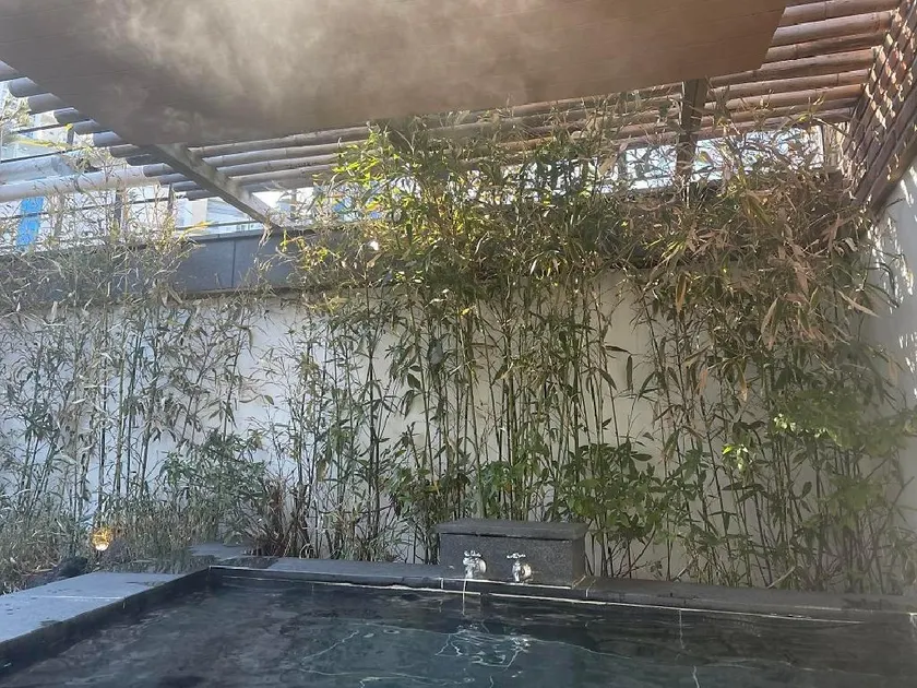 Daesungkwan Hot Spring Hotel - Image 1