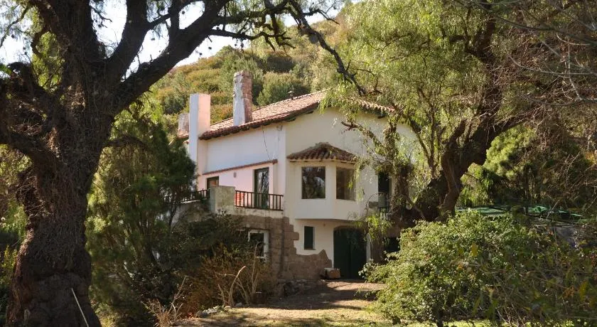 Evergreen - Image 1