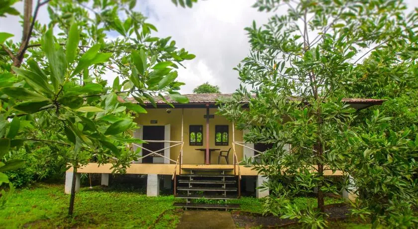 JenJon Wood County Phansad Alibaug - Image 1