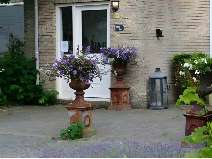 B&B De Koog Texel - Image 1