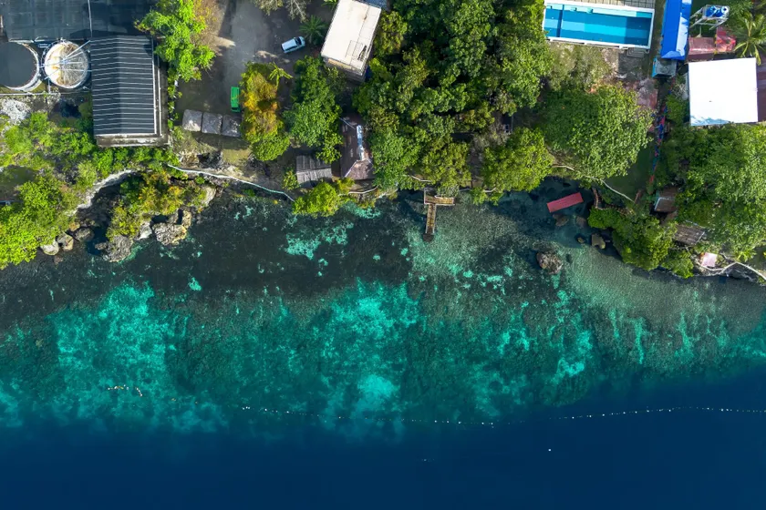 Almira Diving Resort- Panglao - Image 1