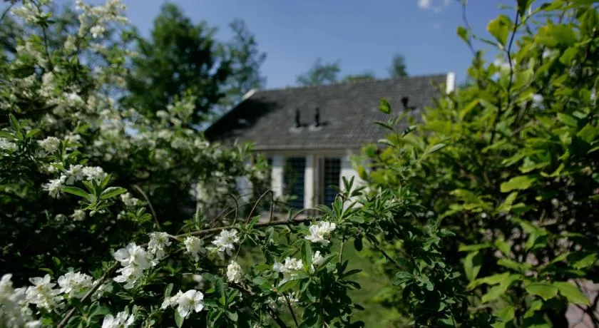 Vakantiehuis NamaStee - Image 1