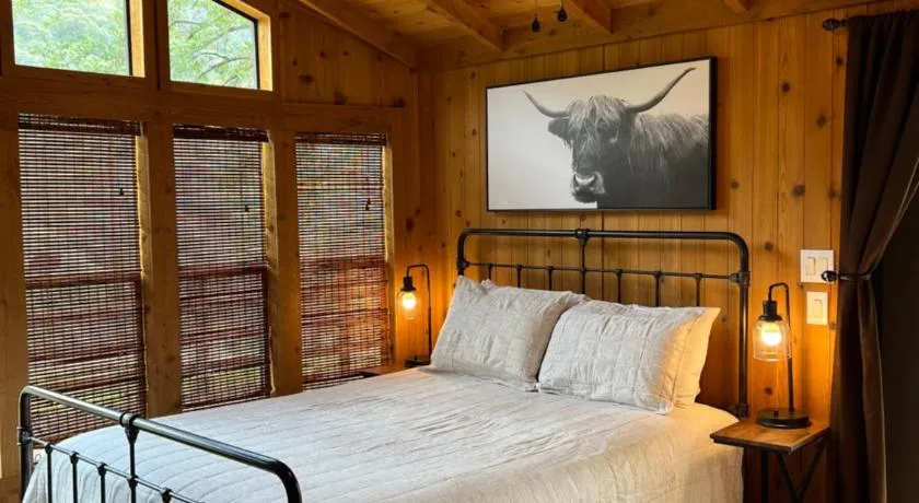 Stargazer Chalet, two bedroom with WiFi - Image 1