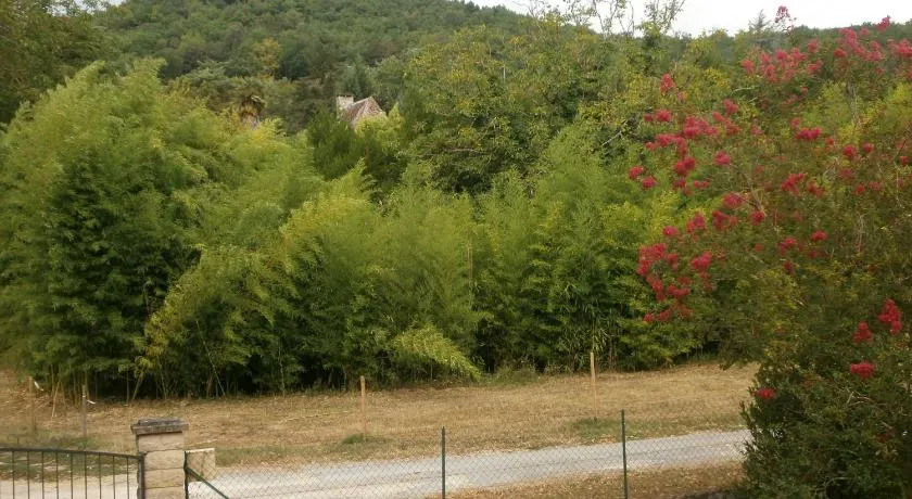 les noyers - Image 1