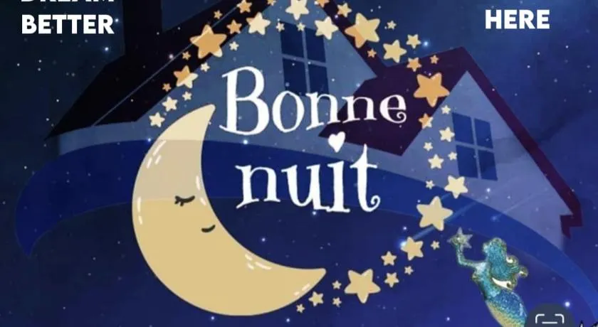 Bonne Nuit Weeki Wachee - Image 1