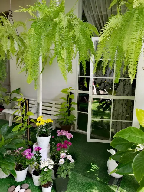 Bloo Ivy-Peradeniya - Image 1