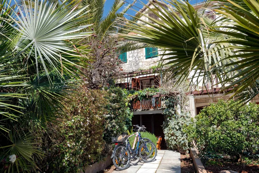 House Darina - Image 1