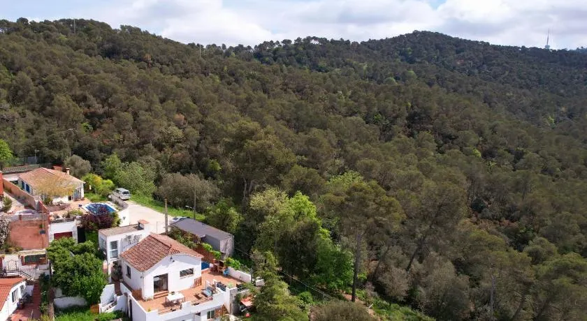 Forest Escape near Barcelona - Image 1