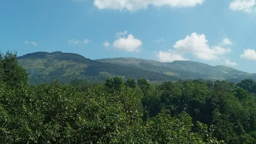 Galkotuwa Estate - Image 1