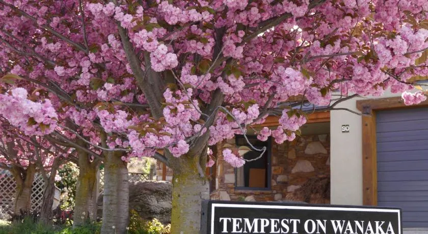 Tempest on Wanaka - Image 1