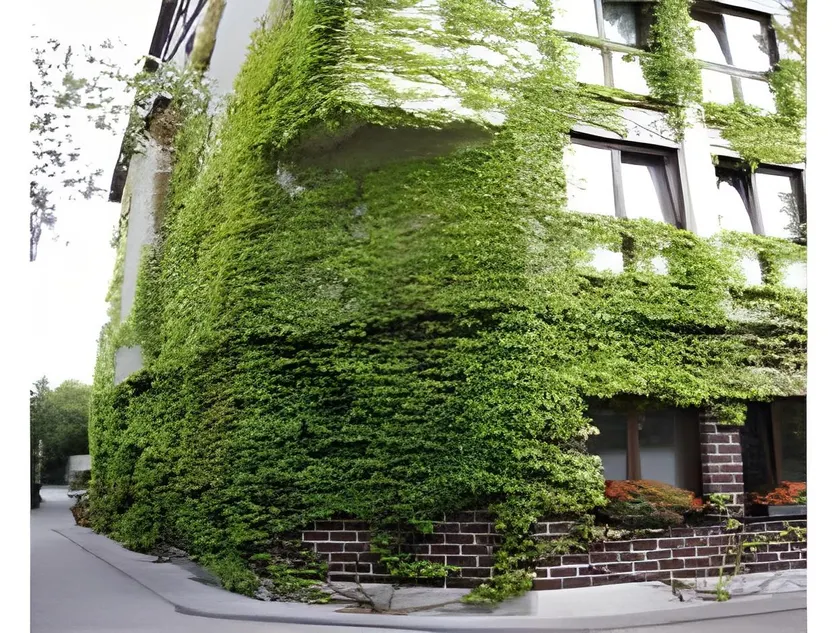 Avenon Privathotel Schwaiger Hof - Image 1