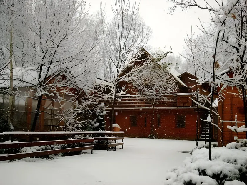 Pensiunea Casa Verde Bucuresti - Image 1