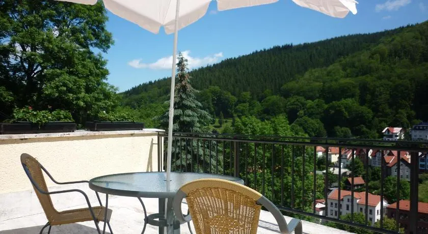 Hotel Waldhaus-Hutzelhöh - Image 1
