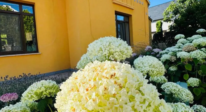 Füredi Virág Villa - Image 1