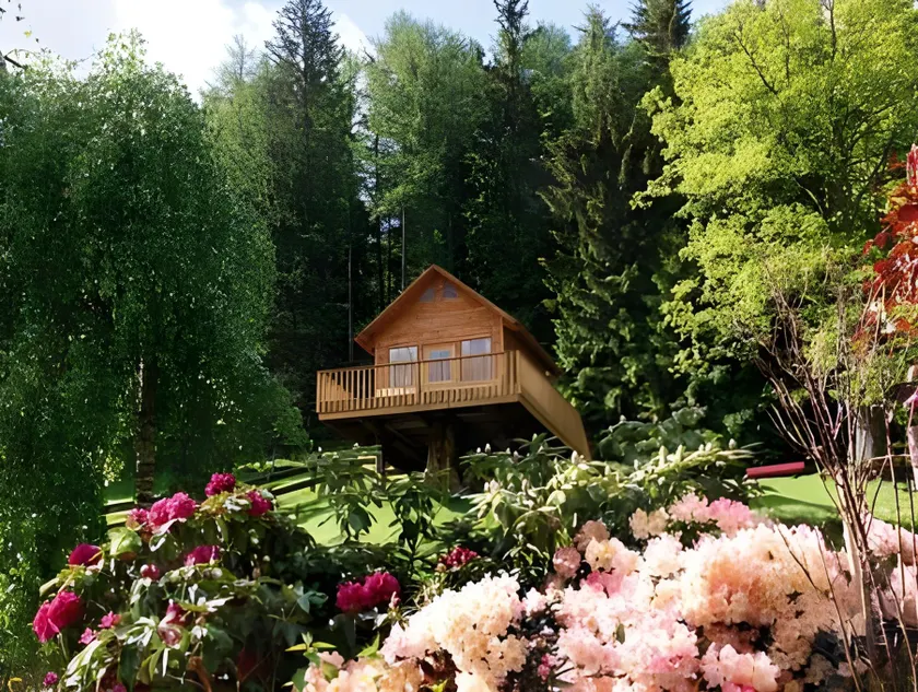 Hotel Gut Vorwald - Image 1