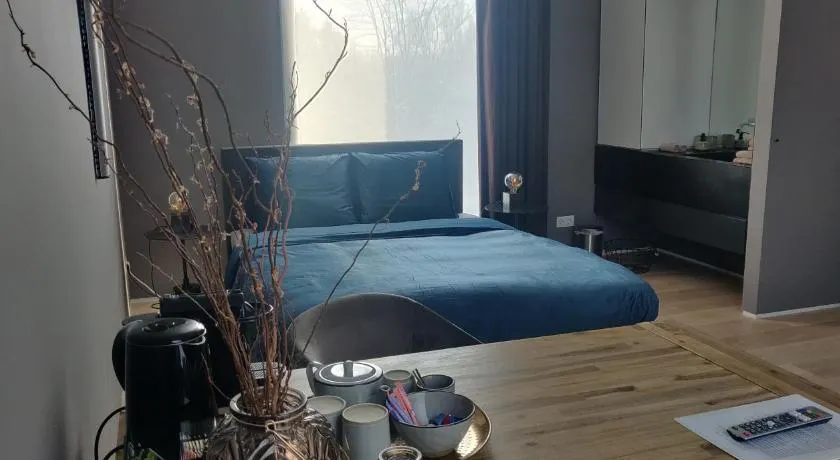 Bed & Wellness Boxtel, luxe kamer met airco en eigen badkamer, ligbad - Image 1