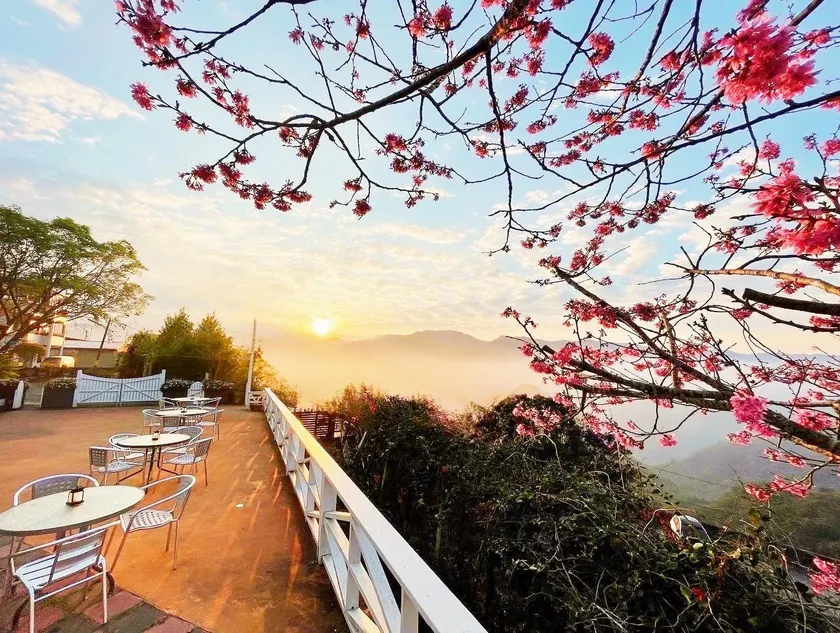 Alishan Tea Garden B&B - Image 1