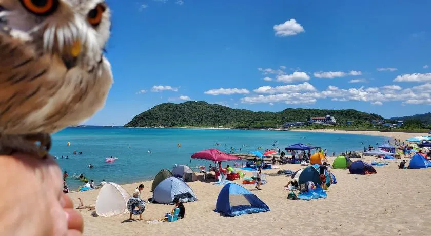 海辺の宿ことひ - Image 1