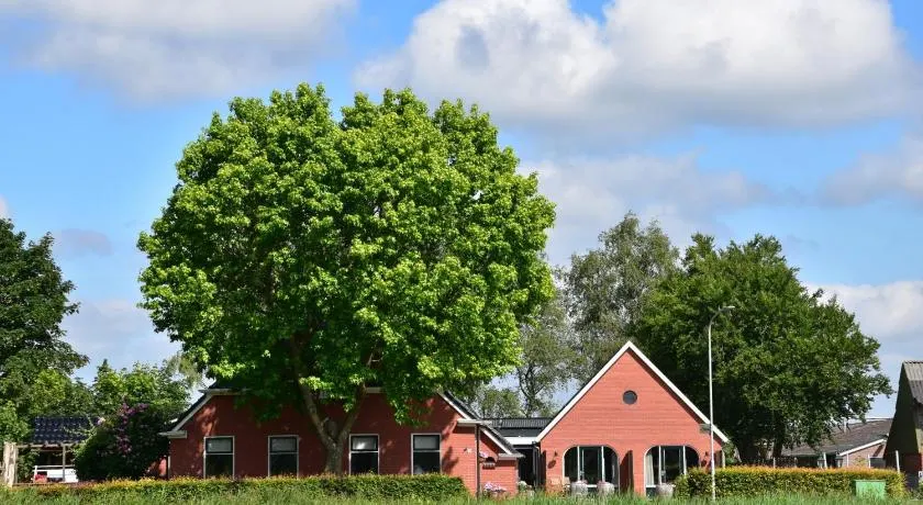 Doezumertocht - Image 1