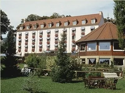 Hôtel Muller Niederbronn-les-Bains - Image 1