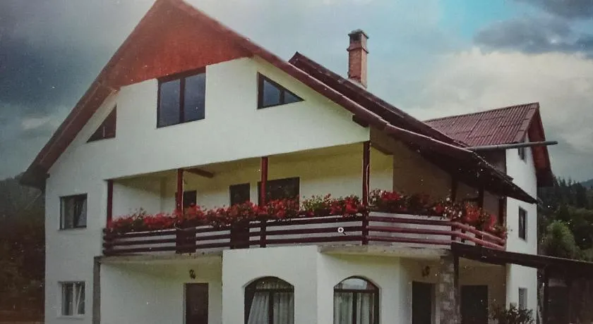 Pensiunea Casa Matei - Image 1