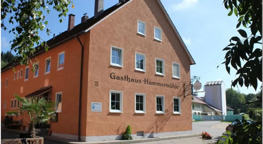 Landgasthof-Hotel Hammermühle - Image 1