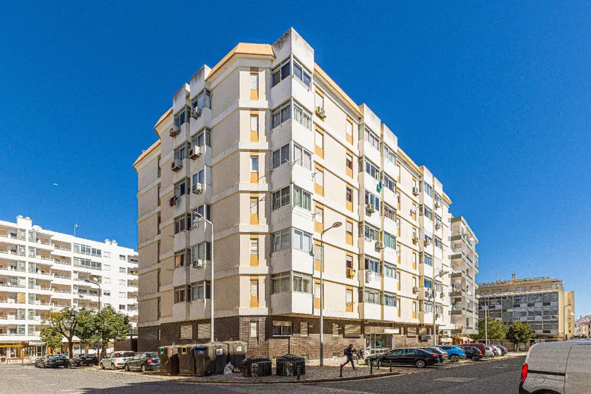 Tartaruga Azul - Image 1