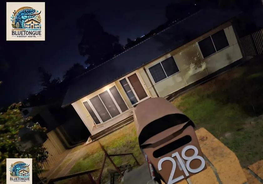 Bluetongue Hideout - Image 1