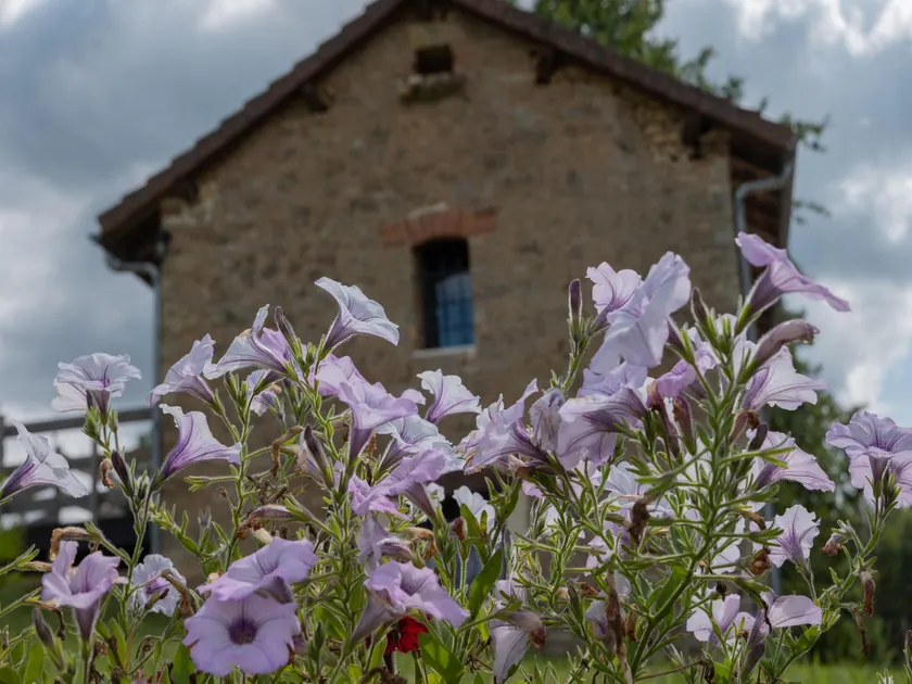 Storehouse with pool near Monpazier - Image 1