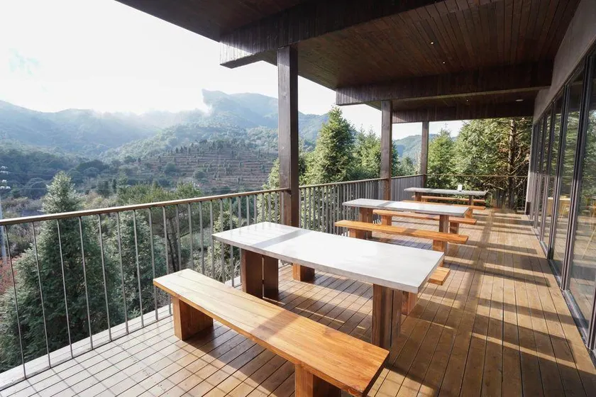 Yue Shan Tea Estate - Image 1