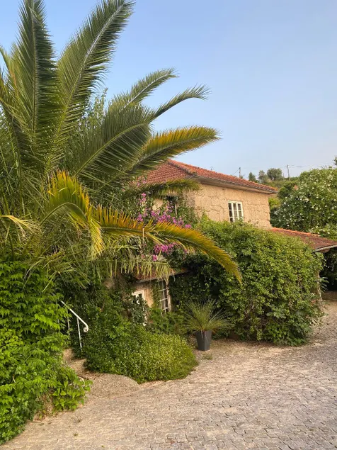 Les Bougainvilliers - Image 1