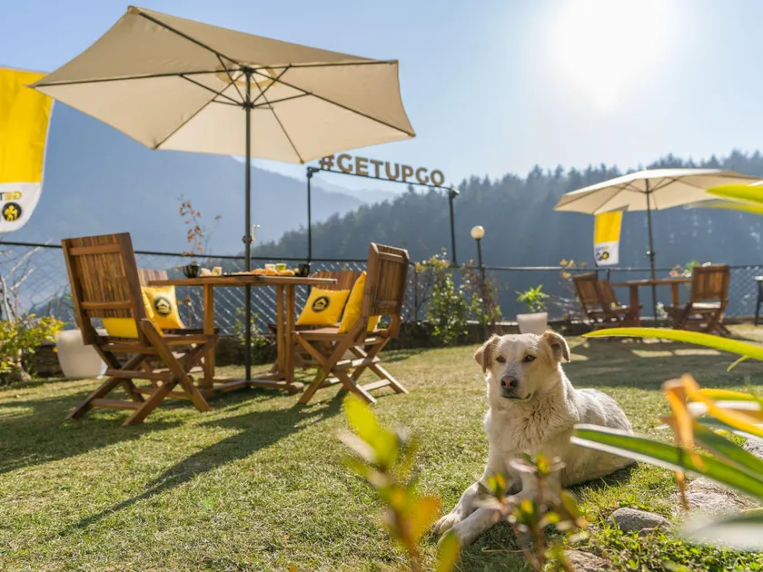 The Hosteller Manali, Old Manali - Image 1