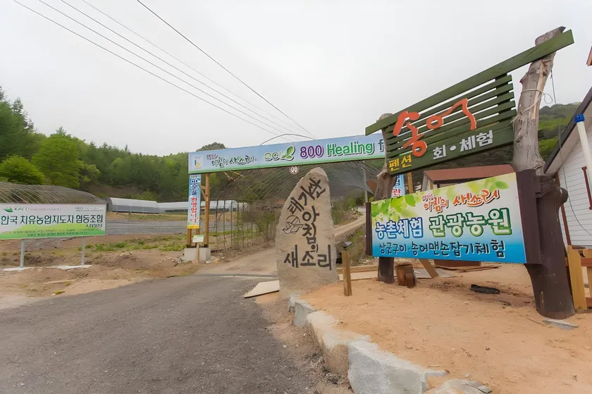 Gangwon Taegisan morning birdsong - Image 1