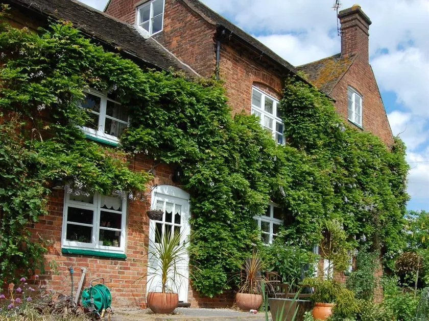Old Ivy House Bed & Breakfast - Image 1