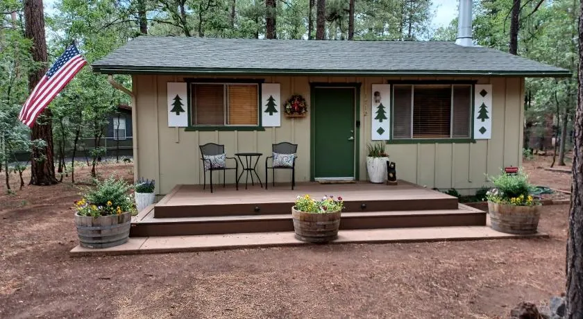 Adair Springs Cabin i Pinetop - Image 1